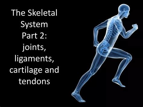 Ppt The Skeletal System Part 2 Joints Ligaments Cartilage And