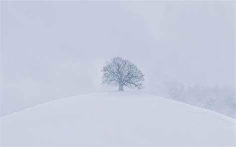 Download Wallpaper 3840x2400 Hill Tree Snow Winter White 4k Ultra