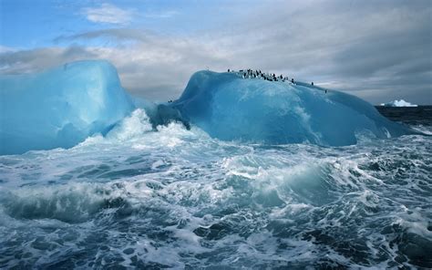 Nature Landscape Sea Waves Antarctica Iceberg Glaciers Animals
