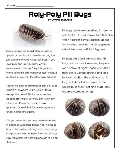 I recommend applying these only. Pill Bug worksheet