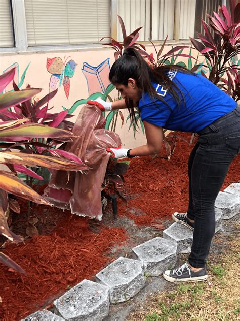 Check spelling or type a new query. Philanthropy | Related