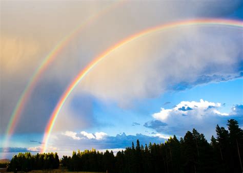 The Different Types Of Rainbows Mental Itch