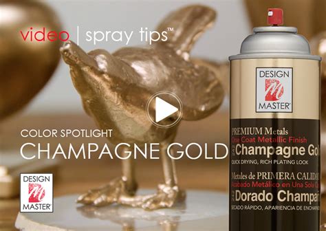 Color Spotlight Champagne Gold Dm Color
