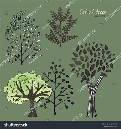 Set Trees Trees Ink Silhouettes Trees Stock Vector Royalty Free