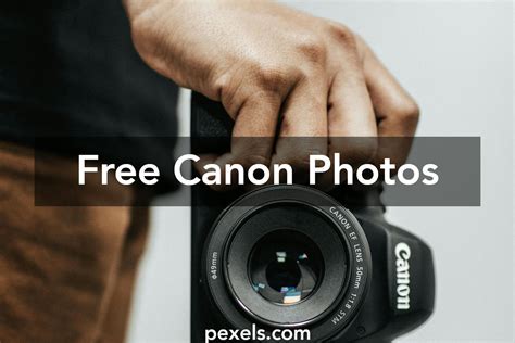 250 Amazing Canon Photos · Pexels · Free Stock Photos
