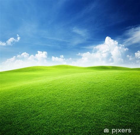 Poster Green Field And Blue Sky Pixershk