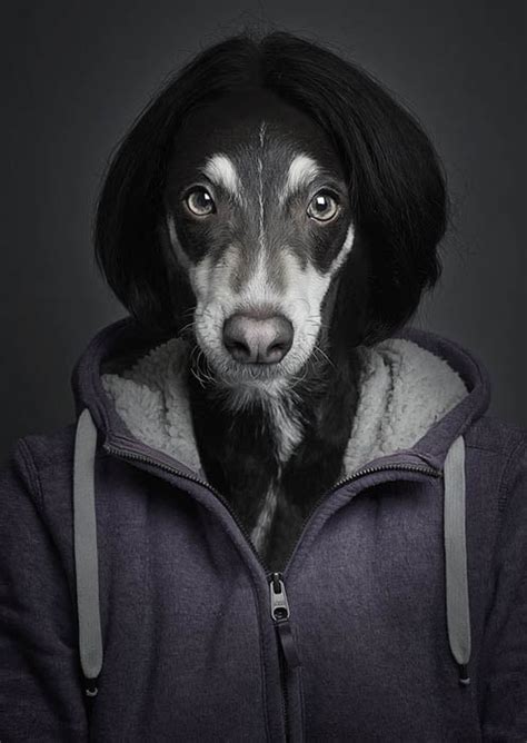 The Faces Of Dogs Combined With The Bodies Of Their Owners Petapixel