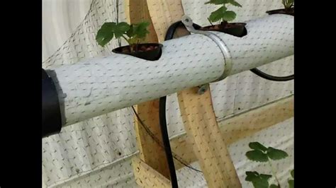 Easy To Build Diy Strawberry Tower Hydroponics System