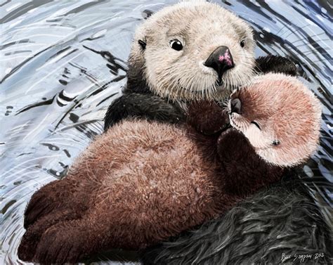 Sea Otter Mom S Soft Lullaby By Psithyrus On Deviantart