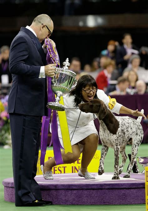 The 140th Annual Westminster Kennel Club Dog Show Abc News