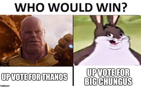 Chungus Or Thanos Imgflip