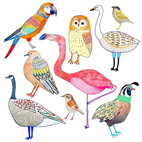 Bird Illustration Bird Artwork Bird Designs Illustrator Artist