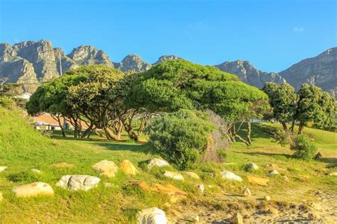 Camps Bay Cape Town Stock Image Image Of Scenic Beautiful 83128073