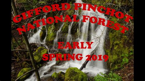 Hiking Ford Pinchot National Forest Spring 2019 Youtube