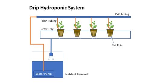 Drip Hydroponic System The Most Popular Hydroponic System Gardening
