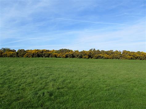Archaeologists and historians originally believed the massive man had ancient origins. The Long Man Of Wilmington - Frames of Reference