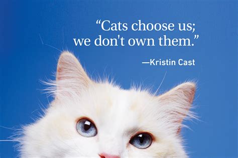 Cat Quotes Every Cat Owner Can Appreciate Readers Digest Canada