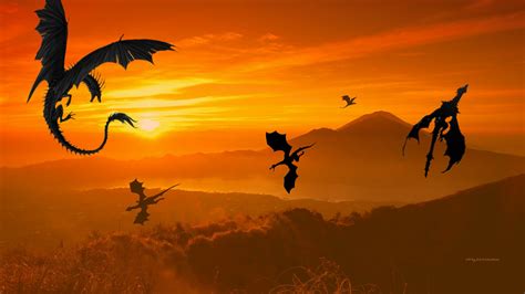 Dragons In Sunset 1a Dragons Wallpaper 40993230 Fanpop