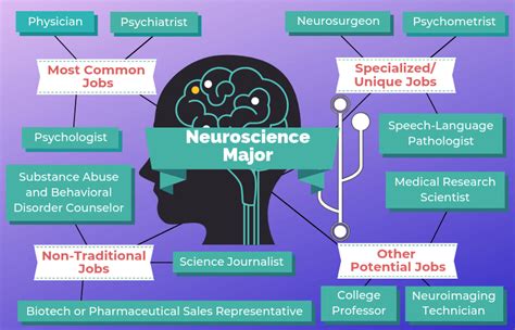 Consider This Before Declaring A Neuroscience Major Educationscientists