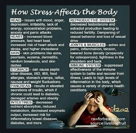 How Stress Affects The Body A Must Read Musely