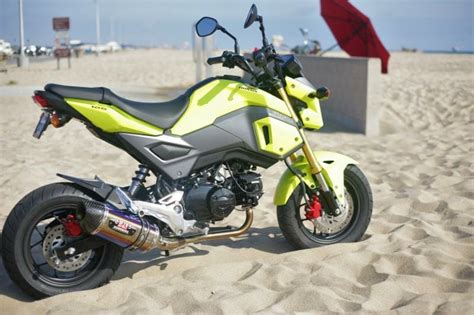 We settled on this grom and a cb650r for a couple of. Yoshimura Honda Grom R-77 Race Series Systems - Cycle News