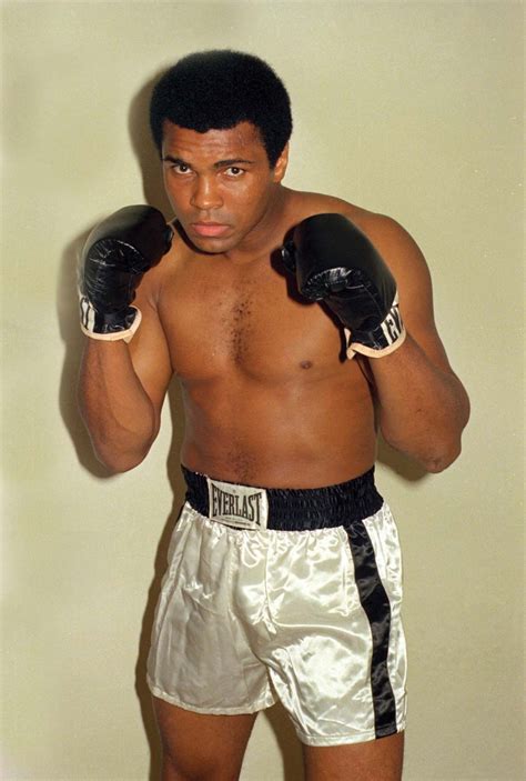 Muhammad Ali Wiki Ippo Fandom