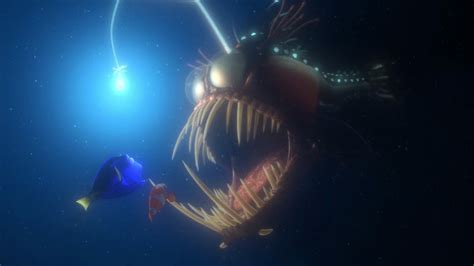 Anglerfish Finding Nemo Fictional Characters Wiki Fandom
