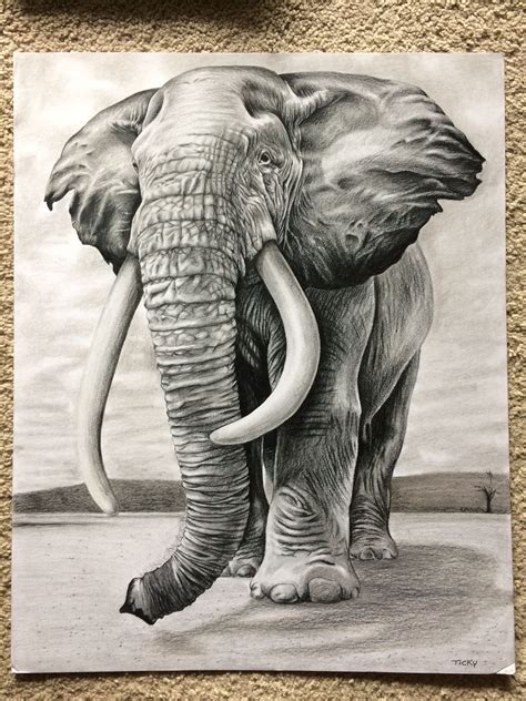 Elephant Pencil Drawings Pencildrawings Elephant Pencil Drawings