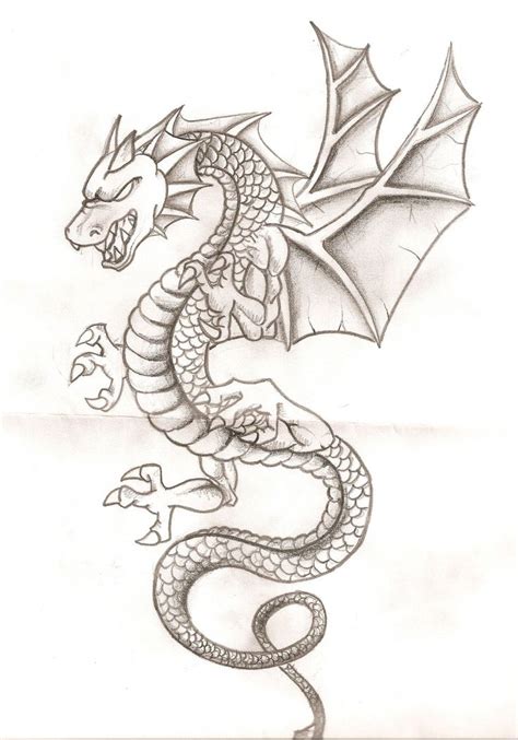 Dragon Dragon Sketch Dragon Illustration Mandala Design Art