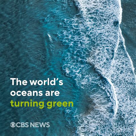 Cbs News On Twitter Researchers Have Found A “frightening” Discovery