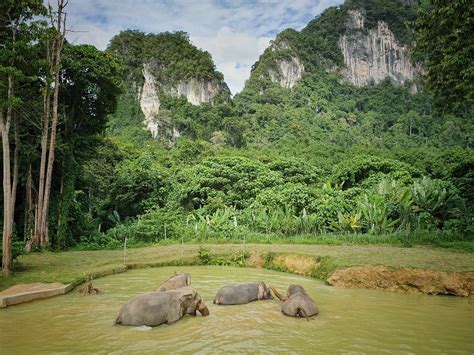 Parque Nacional De Khao Sok Tailandia Y Elephant Hills Vero4travel