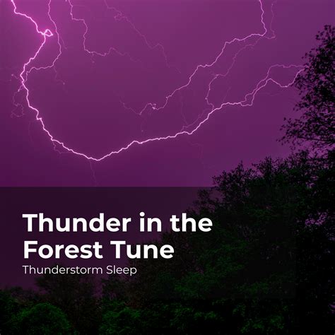 Sleep With Thunder_Thunderstorm Sleep、Thunderstorm、Thunder Storms