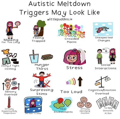 Autistic Meltdown Triggers Autismcore
