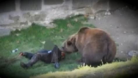Terribles imágenes de cómo un oso mata a otro hombre en Rumanía