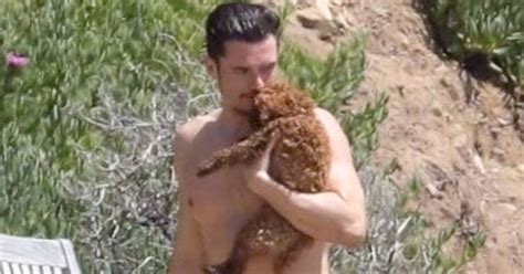 Orlando bloom has just made his private instagram public, unearthing a treasure trove of backdated photos and videos. Orlando Bloom uses his dog to help cover up as he hits the ...