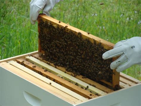 1) when her husband came home anne was watching television. 25 of the Best: Anne Willis