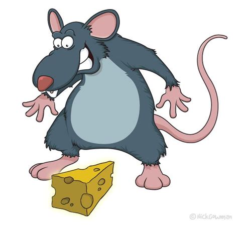 Cartoon Rat Cartoon Illustration In Salisbury Wiltshire Nick