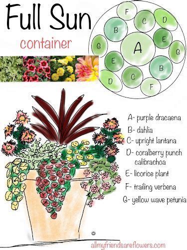 Try These Container Recipes Using Southern Patios Line Of