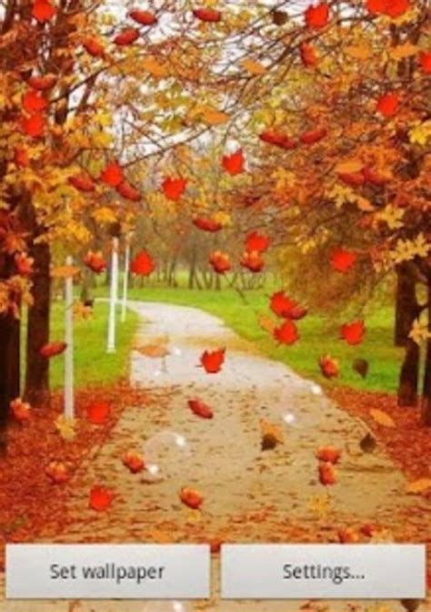 Autumn Live Wallpaper Free Per Android Download