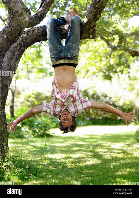 A Man Hanging Upside Down On A Tree Branch Stockholom Sweden Stock