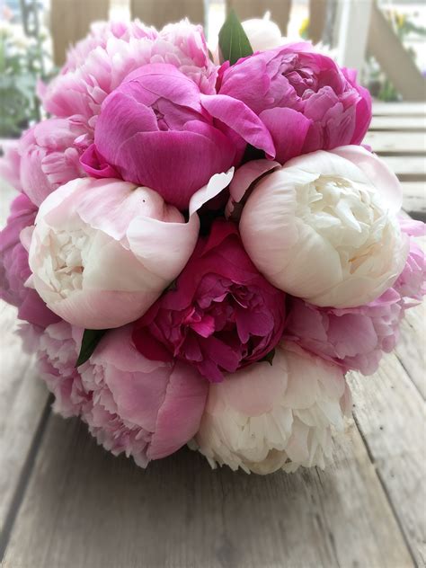 Check spelling or type a new query. Pfingstrosen | Pfingstrosen, Brautstrauß, Heiraten