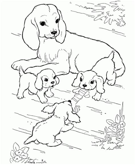 Puppies And Kittens Coloring Pages Coloring Home