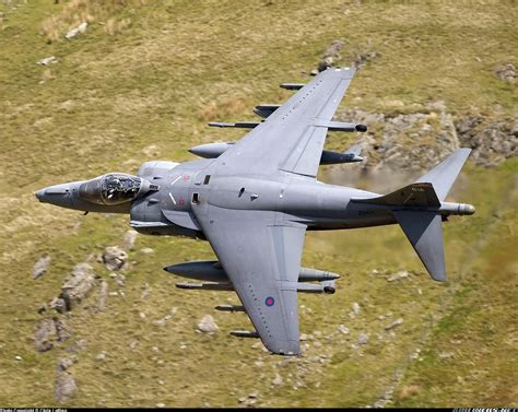 British Aerospace Harrier Gr7a Uk Air Force Aviation Photo