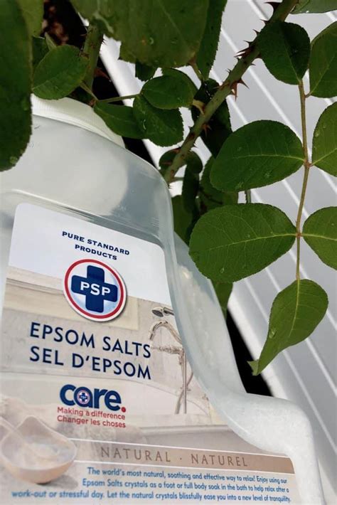 Epsom Salt For Plants Dont Do It