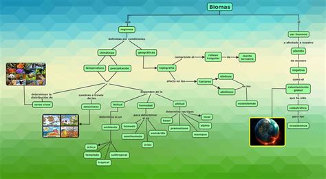 Biolog A Iv Mapa Conceptual De Biomas