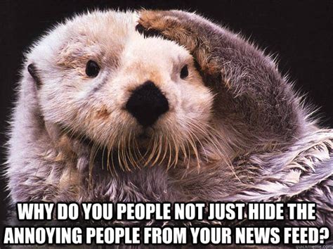 Confused Otter Memes Quickmeme