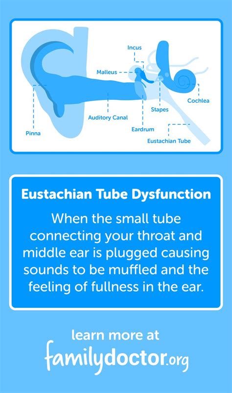 Eustachian Tube Dysfunction Causes Symptoms And Fda Advice