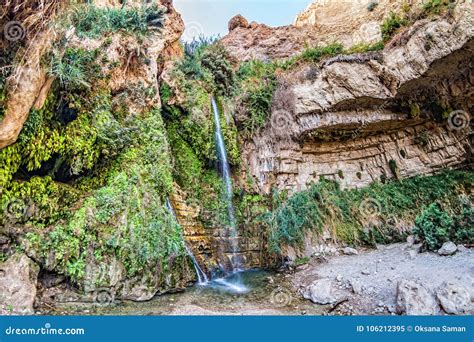 David`s Waterfall At Ein Gedi Nature Reserve Stock Image Image Of