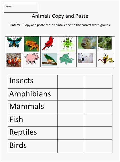 Animal Classification Worksheet Science Pinterest 1st Grade