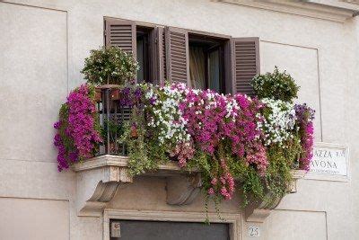 Estas ocuparán la menor superficie posible y podrás aprovechar al máximo tu pequeño balcón o terraza. Stock Photo (con imágenes) | Balcones con plantas, Flores ...
